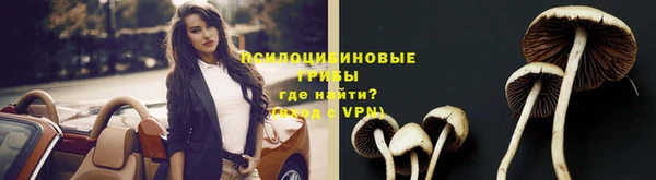 молекула духа Кодинск