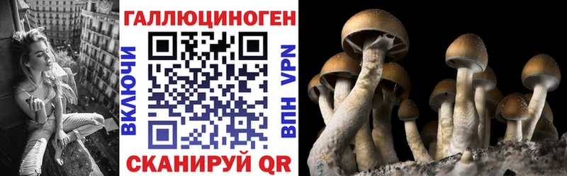 Галлюциногенные грибы MAGIC MUSHROOMS  Купить где  Юрьевец 